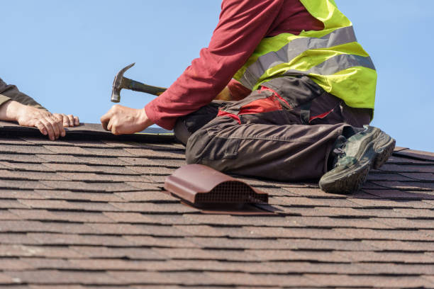 Best Roof Gutter Cleaning  in Horse Shoe, NC