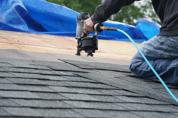 Best Roof Gutter Cleaning  in Horse Shoe, NC