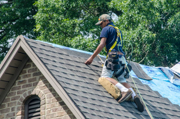 Best Roof Gutter Cleaning  in Horse Shoe, NC